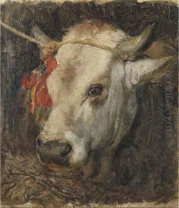 Testa Di Bovino