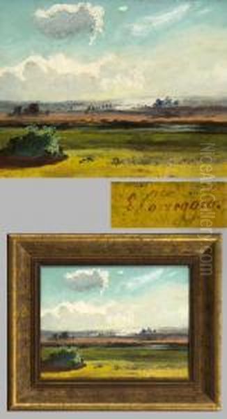 Romantische Weite Sommerlandschaft - view 1