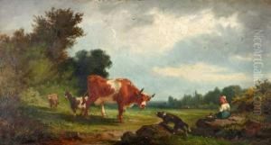 Bergweide Met Herderin En Vee Bij Drinkbak