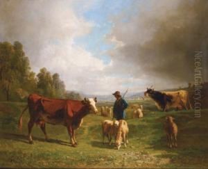 Berger Et Troupeau Au Paturage