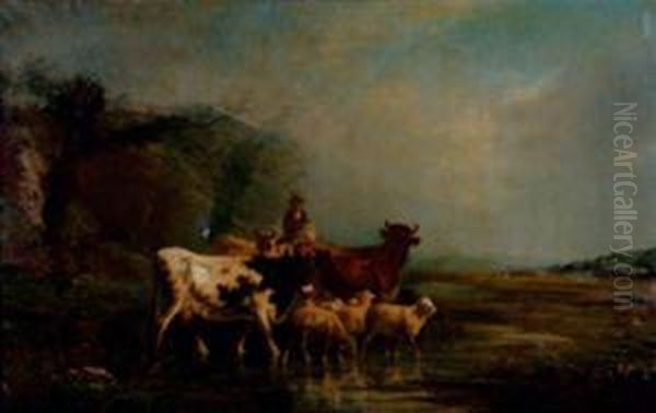 Vaches Et Moutons S'abreuvant - view 1