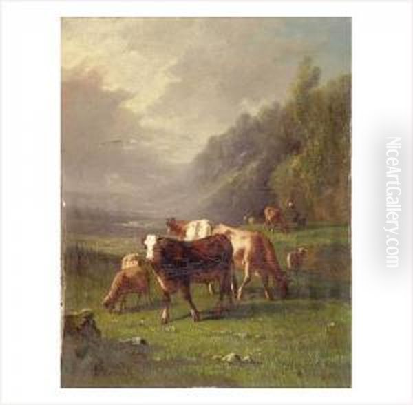 Vaches Et Moutons Au Paturage - view 1
