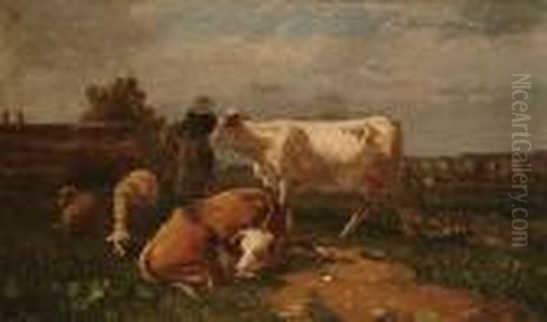 Cattle Watering; Cattle And Sheep In A Pasture - view 1