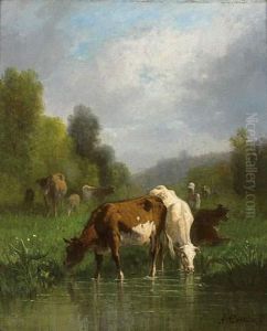 Vaches S'abreuvant