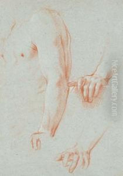 Etude De Torse Et De Deux Avant-bras - view 1