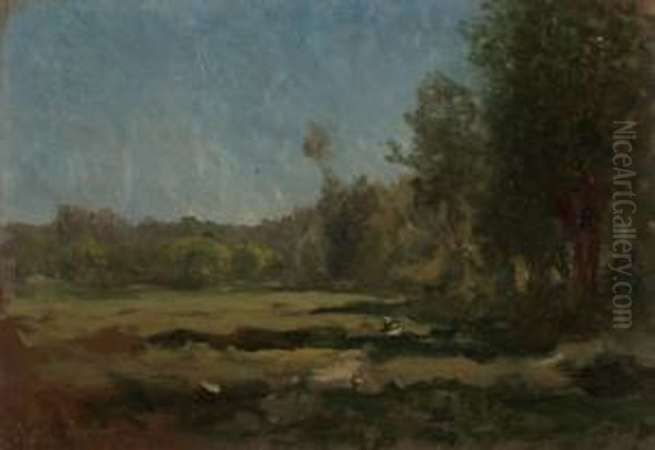 Radura Verde - view 1