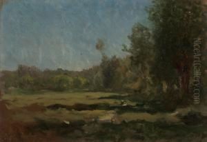 Radura Verde by Demetrio Cosola