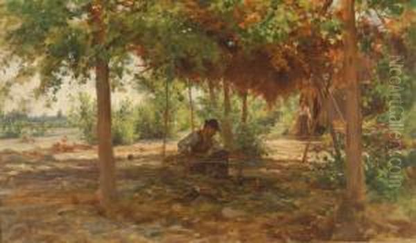 Scena Campestre - view 1