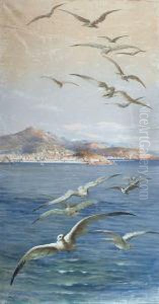 Nice, La Baie Des Anges - view 1