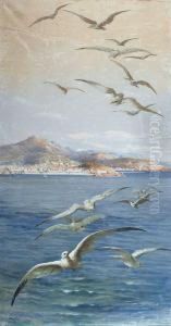 Nice, La Baie Des Anges