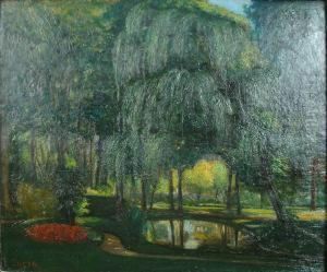 Paysage Au Saule