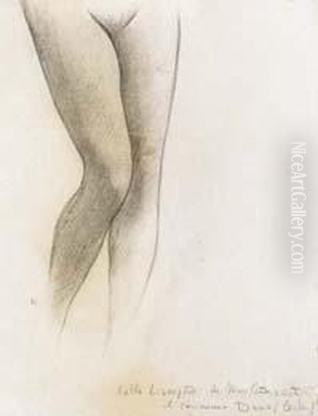 Studio Per " La Ninfa Delbosco" - view 1