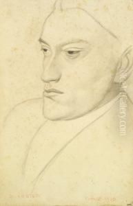 Ritratto Di Giovane Ritratto Di Giovane