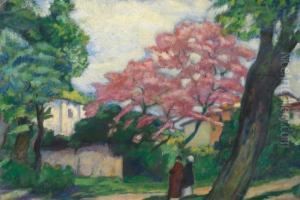Paesaggio Paesaggio
