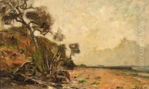 Banks Of The Stour