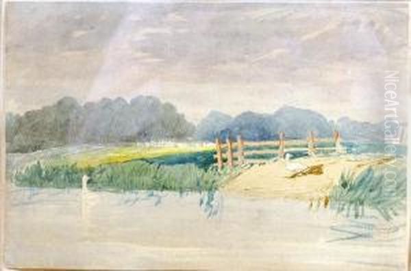 River Landscape With Ducks - view 1