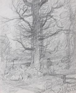 Woodland Sketch by John Joseph Cotman