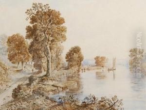 Postwick Grove On The River Yare, Norfolk Postwick Grove On The River Yare, Norfolk