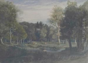 Gunton Park,norfolk