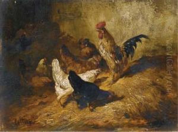Coqs Et Poules - view 1