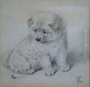 'curiosity'. A Seated Puppy Watching A Passing Insect. by Horatio Henry Couldery