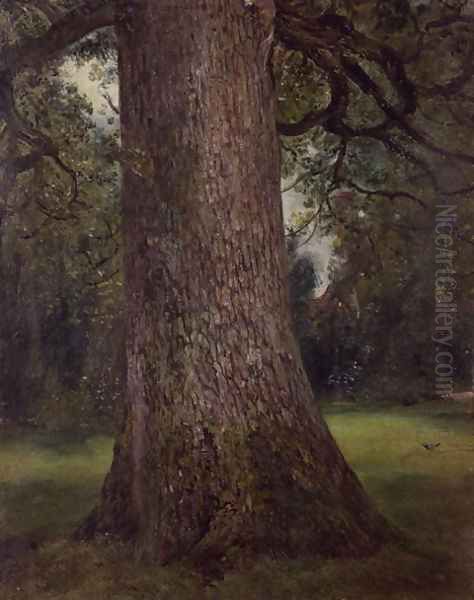 Study of the Trunk of an Elm Tree, c.1821 - view 1