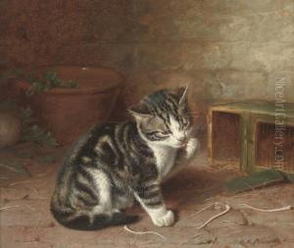 The Naughty Kitten - view 1