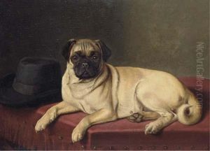 Waiting For Master - A Pug On A Stool
