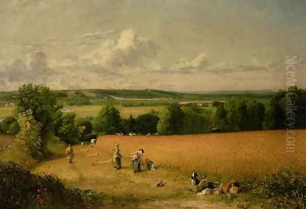 Wheat Field - view 1