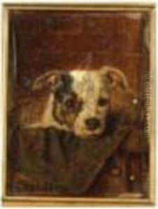 A Dog In A Manger