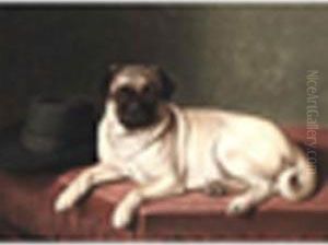 A Pugsigned, Oil On Canvas 22 X 16in by Horatio Henry Couldery