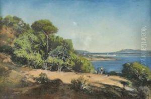 Vue Animee Pres De Toulon.