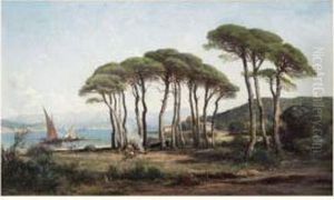 Mediterranee, Les Pins Parasols