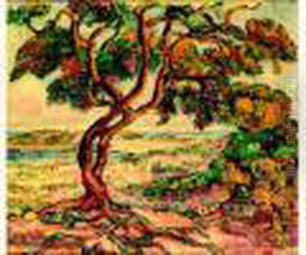 Les Amies De Saint-tropez Vue Des Canoubiers, Le Golfe - view 1