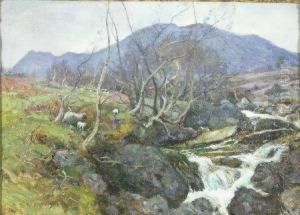 Sheep Grazing By A Highland River by Robert Mcgown Coventry