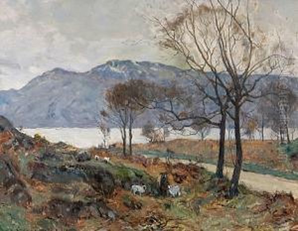 Loch Linnhe - view 1