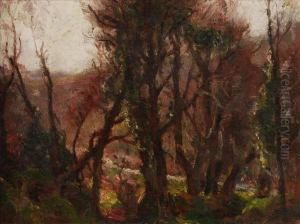 Through The Woodland To The River by Garstin Cox