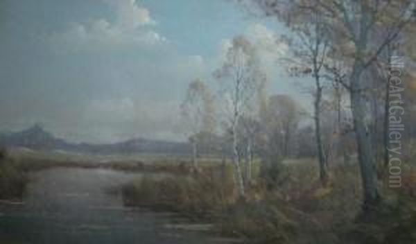 Silver Birch In A River Landscape - view 1