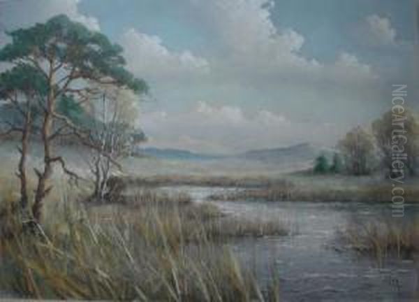 Reeds Bordering A River Landscape - view 1