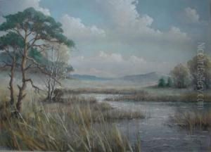Reeds Bordering A River Landscape