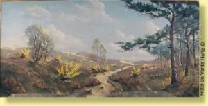 Paysage Avec Des Pins