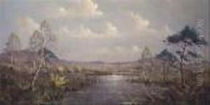 River Bordered With Trees