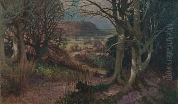 A Rural Landscape Looking Through Beech Woods To A River And Bridge - view 1