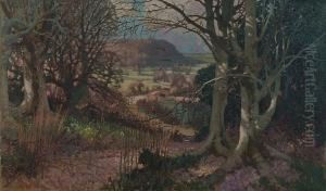 A Rural Landscape Looking Through Beech Woods To A River And Bridge A Rural Landscape Looking Through Beech Woods To A River And Bridge