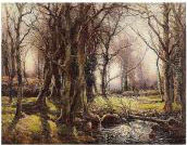 A West Country Woodland - view 1