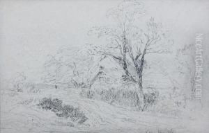 Gillow Heath by David Cox