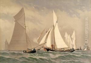 For The America's Cup