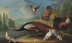 A Peacock, Pigeons And Chickens In A Wooded River Landscape by Marmaduke Cradock