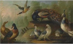 A River Landscape With A Peacock And A Peahen, Mallards Andother Birds
