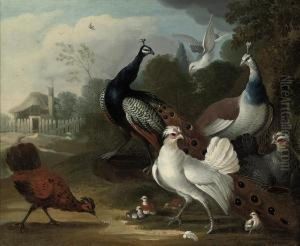 A Peacock, A Hen, Fowl And Other Birds In A Landscape